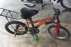4202 5-12-18 cycle