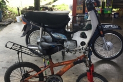 4203 5-12-18 cycle