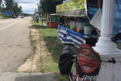 4205 5-12-18 roadside stall