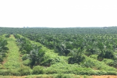 4250 7-12-18 view