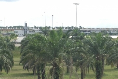 4346  -11-12-18 trees bystadium