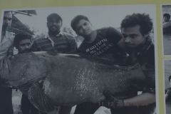 4356  -12-12-18 fishermens tales