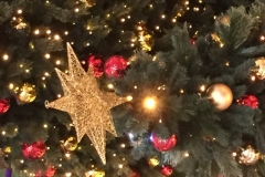 4390 -13-12-18 Christmas decs