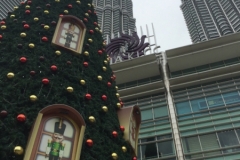 4392 -13-12-18 Christmas decs