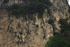 4401 -13-12-18 cliff