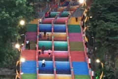 4424 -13-12-18  steps
