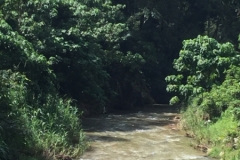 4438 -16-12-18  river