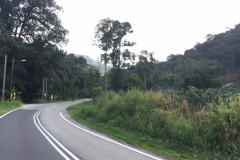 4456 -18-12-18 road