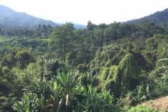 4460 -18-12-18 view