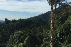 4461 -18-12-18 view