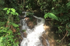 4465 -18-12-18 waterfall