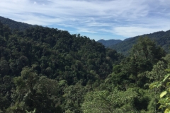 4471 -18-12-18 view