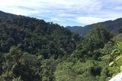4472 -18-12-18 view