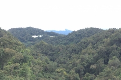 4483 -18-12-18 view