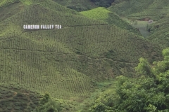 4487 -18-12-18 view