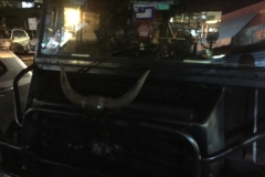 4497 -18-12-18 truck