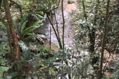 4500 -19-12-18 river