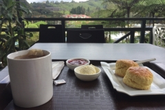 4501 -19-12-18 cream tea