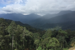 4528 -20-12-18 view
