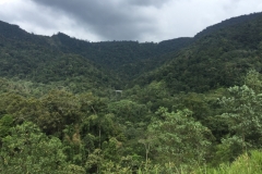 4532 -20-12-18 view