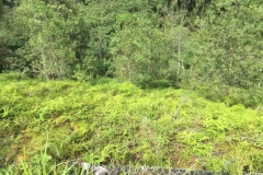 4534 -20-12-18 view