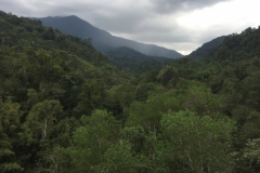 4538 -20-12-18 view