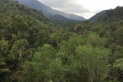 4539 -20-12-18 view