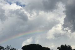 4559 -21-12-18 rainbow