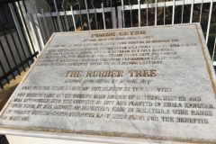 4579 -22-12-18 tree info