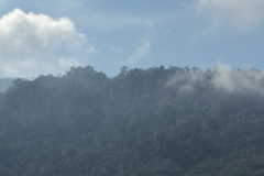 4582 -22-12-18 low cloud#
