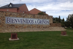 0754 Grinon