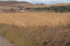 0768 field