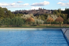 0793 pool