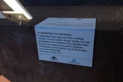 0828 label Toledo