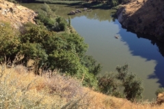 0846 water Toledo
