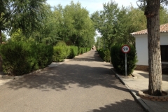 0868 driveway Toledo