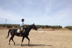0875 dressage