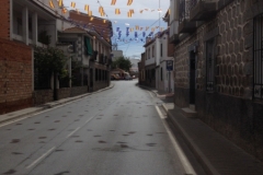 0892 Bunting