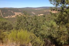 0928 hills
