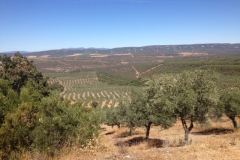 0932 over the hills