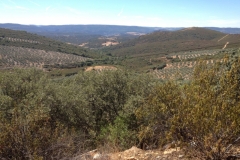 0938 over the hills