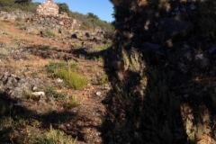 0958 rocks and trees