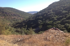 0967 hills trees