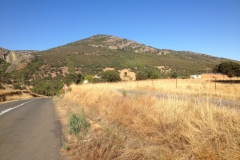0980 road