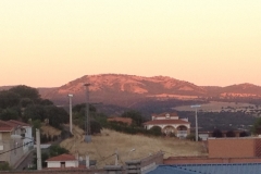 0981 town
