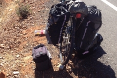 1019 roadside