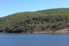 1022 lake