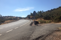 1068 road