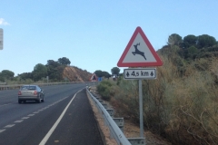 1097 warning signs