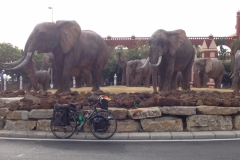 1961 20-10 Torremolinos Elephants